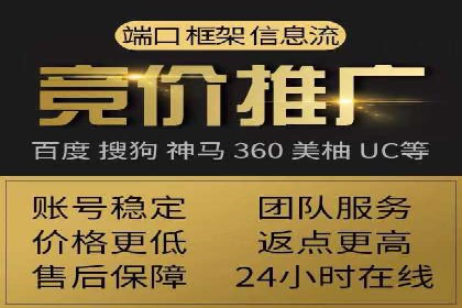 成功案例：专业SEM托管服务助力企业抢占行业制高点