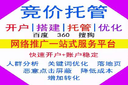 行业领先企业选择SEM代运营托管公司的原因揭秘
